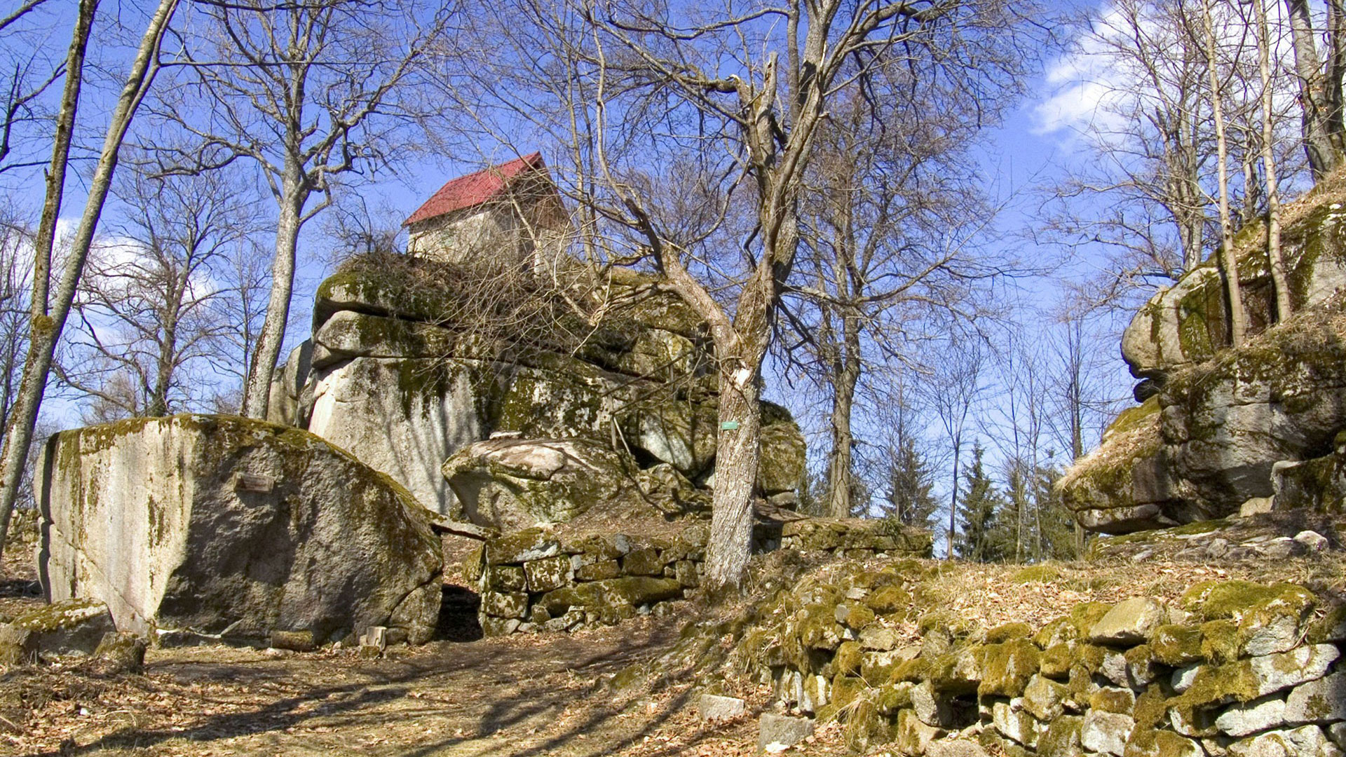 Burgruine Haselstein